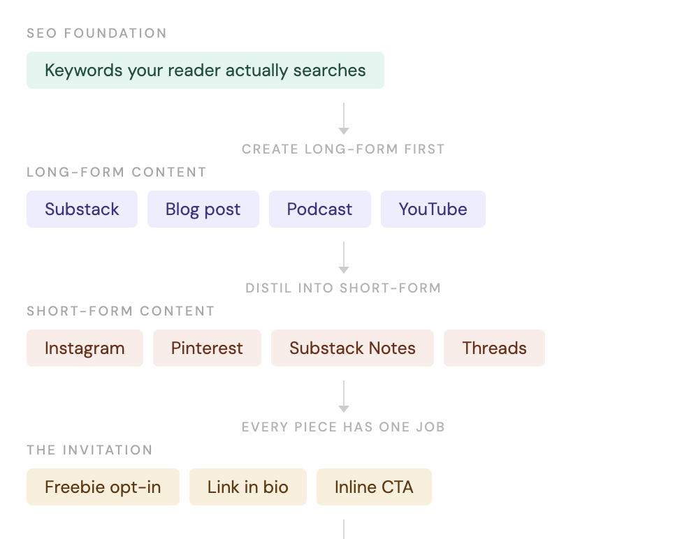 Audience foundations that work with Claire Venus - Substack Expert